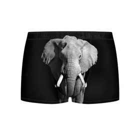 Мужские трусы 3D с принтом Слон в Тюмени, 50% хлопок, 50% полиэстер | классическая посадка, на поясе мягкая тканевая резинка | africa | big | black   white | elephant is an animal | shroud | tusks | африка | бивни | большой | животное | идет | савана | слон | черно   белый