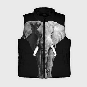 Женский жилет утепленный 3D с принтом Слон в Тюмени,  |  | africa | big | black   white | elephant is an animal | shroud | tusks | африка | бивни | большой | животное | идет | савана | слон | черно   белый