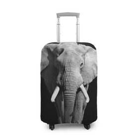 Чехол для чемодана 3D с принтом Слон в Тюмени, 86% полиэфир, 14% спандекс | двустороннее нанесение принта, прорези для ручек и колес | Тематика изображения на принте: africa | big | black   white | elephant is an animal | shroud | tusks | африка | бивни | большой | животное | идет | савана | слон | черно   белый