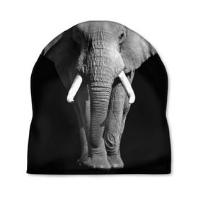 Шапка 3D с принтом Слон в Тюмени, 100% полиэстер | универсальный размер, печать по всей поверхности изделия | Тематика изображения на принте: africa | big | black   white | elephant is an animal | shroud | tusks | африка | бивни | большой | животное | идет | савана | слон | черно   белый