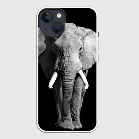 Чехол для iPhone 13 с принтом Слон в Тюмени,  |  | africa | big | black   white | elephant is an animal | shroud | tusks | африка | бивни | большой | животное | идет | савана | слон | черно   белый