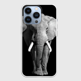 Чехол для iPhone 13 Pro с принтом Слон в Тюмени,  |  | Тематика изображения на принте: africa | big | black   white | elephant is an animal | shroud | tusks | африка | бивни | большой | животное | идет | савана | слон | черно   белый