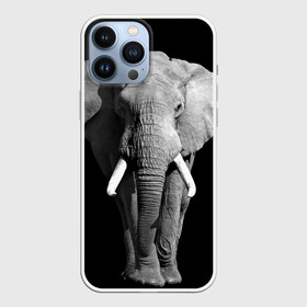 Чехол для iPhone 13 Pro Max с принтом Слон в Тюмени,  |  | Тематика изображения на принте: africa | big | black   white | elephant is an animal | shroud | tusks | африка | бивни | большой | животное | идет | савана | слон | черно   белый