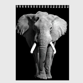 Скетчбук с принтом Слон в Тюмени, 100% бумага
 | 48 листов, плотность листов — 100 г/м2, плотность картонной обложки — 250 г/м2. Листы скреплены сверху удобной пружинной спиралью | africa | big | black   white | elephant is an animal | shroud | tusks | африка | бивни | большой | животное | идет | савана | слон | черно   белый