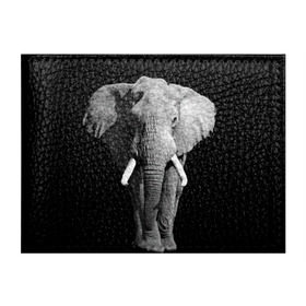 Обложка для студенческого билета с принтом Слон в Тюмени, натуральная кожа | Размер: 11*8 см; Печать на всей внешней стороне | africa | big | black   white | elephant is an animal | shroud | tusks | африка | бивни | большой | животное | идет | савана | слон | черно   белый