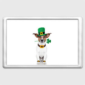Магнит 45*70 с принтом Ирландия в Тюмени, Пластик | Размер: 78*52 мм; Размер печати: 70*45 | Тематика изображения на принте: animal | breed | clover | dog | folk | fun | funny | hat | hero | ireland | irish | saint patrick | герой | животное | ирландия | ирландский | клевер | народный | порода | прикол | святой патрик | собака | шляпа | шутка