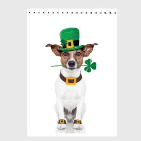 Скетчбук с принтом Ирландия в Тюмени, 100% бумага
 | 48 листов, плотность листов — 100 г/м2, плотность картонной обложки — 250 г/м2. Листы скреплены сверху удобной пружинной спиралью | Тематика изображения на принте: animal | breed | clover | dog | folk | fun | funny | hat | hero | ireland | irish | saint patrick | герой | животное | ирландия | ирландский | клевер | народный | порода | прикол | святой патрик | собака | шляпа | шутка