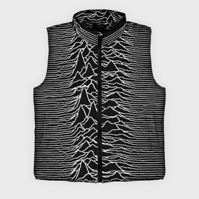 Мужской жилет утепленный 3D с принтом Joy Division. Unknown Pleasures в Тюмени,  |  | Тематика изображения на принте: joy division | альбом | волны | горы | линии | обложка | панк | рок