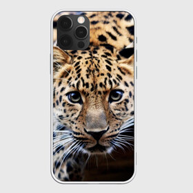 Чехол для iPhone 12 Pro Max с принтом Леопард в Тюмени, Силикон |  | взгляд | глаза | дикая кошка | леопард | хищник