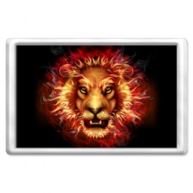 Магнит 45*70 с принтом Огненный лев в Тюмени, Пластик | Размер: 78*52 мм; Размер печати: 70*45 | animal | fire | flame | head | lion | look | predator | взгляд | голова | животное | лев | огненный | огонь | пламя | хищник