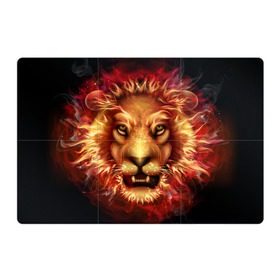 Магнитный плакат 3Х2 с принтом Огненный лев в Тюмени, Полимерный материал с магнитным слоем | 6 деталей размером 9*9 см | animal | fire | flame | head | lion | look | predator | взгляд | голова | животное | лев | огненный | огонь | пламя | хищник