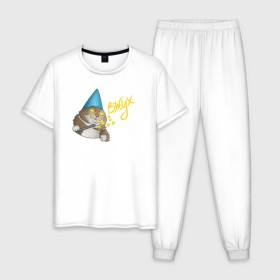 Мужская пижама хлопок с принтом ВЖУХ котик в Тюмени, 100% хлопок | брюки и футболка прямого кроя, без карманов, на брюках мягкая резинка на поясе и по низу штанин
 | вжух | котик