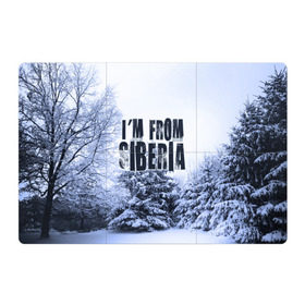 Магнитный плакат 3Х2 с принтом Я из Сибири в Тюмени, Полимерный материал с магнитным слоем | 6 деталей размером 9*9 см | siberia | зима | россия | сибирь | снег | холод