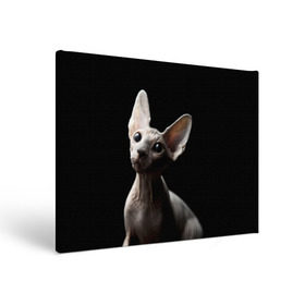 Холст прямоугольный с принтом Сфинкс в Тюмени, 100% ПВХ |  | Тематика изображения на принте: black | cat | взгляд | кот | котик | котэ | кошка | сфинкс | уши | черный