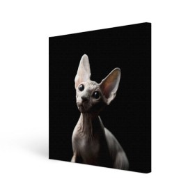 Холст квадратный с принтом Сфинкс в Тюмени, 100% ПВХ |  | Тематика изображения на принте: black | cat | взгляд | кот | котик | котэ | кошка | сфинкс | уши | черный