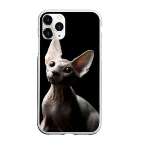 Чехол для iPhone 11 Pro матовый с принтом Сфинкс в Тюмени, Силикон |  | black | cat | взгляд | кот | котик | котэ | кошка | сфинкс | уши | черный