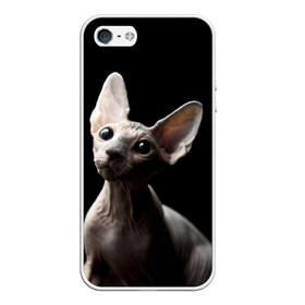 Чехол для iPhone 5/5S матовый с принтом Сфинкс в Тюмени, Силикон | Область печати: задняя сторона чехла, без боковых панелей | Тематика изображения на принте: black | cat | взгляд | кот | котик | котэ | кошка | сфинкс | уши | черный