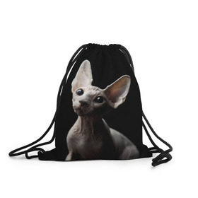 Рюкзак-мешок 3D с принтом Сфинкс в Тюмени, 100% полиэстер | плотность ткани — 200 г/м2, размер — 35 х 45 см; лямки — толстые шнурки, застежка на шнуровке, без карманов и подкладки | black | cat | взгляд | кот | котик | котэ | кошка | сфинкс | уши | черный