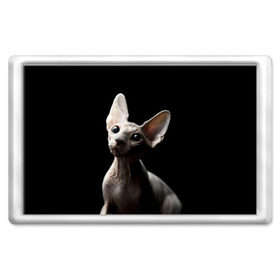 Магнит 45*70 с принтом Сфинкс в Тюмени, Пластик | Размер: 78*52 мм; Размер печати: 70*45 | black | cat | взгляд | кот | котик | котэ | кошка | сфинкс | уши | черный