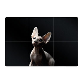 Магнитный плакат 3Х2 с принтом Сфинкс в Тюмени, Полимерный материал с магнитным слоем | 6 деталей размером 9*9 см | Тематика изображения на принте: black | cat | взгляд | кот | котик | котэ | кошка | сфинкс | уши | черный