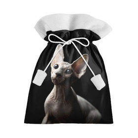 Подарочный 3D мешок с принтом Сфинкс в Тюмени, 100% полиэстер | Размер: 29*39 см | Тематика изображения на принте: black | cat | взгляд | кот | котик | котэ | кошка | сфинкс | уши | черный