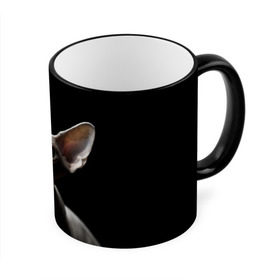 Кружка 3D с принтом Сфинкс в Тюмени, керамика | ёмкость 330 мл | Тематика изображения на принте: black | cat | взгляд | кот | котик | котэ | кошка | сфинкс | уши | черный