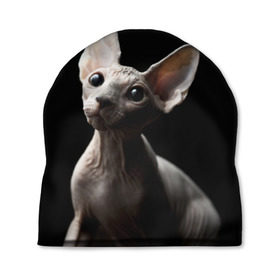 Шапка 3D с принтом Сфинкс в Тюмени, 100% полиэстер | универсальный размер, печать по всей поверхности изделия | Тематика изображения на принте: black | cat | взгляд | кот | котик | котэ | кошка | сфинкс | уши | черный