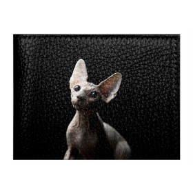 Обложка для студенческого билета с принтом Сфинкс в Тюмени, натуральная кожа | Размер: 11*8 см; Печать на всей внешней стороне | Тематика изображения на принте: black | cat | взгляд | кот | котик | котэ | кошка | сфинкс | уши | черный