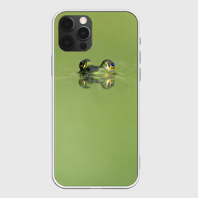 Чехол для iPhone 12 Pro Max с принтом Лягушка в Тюмени, Силикон |  | Тематика изображения на принте: болото | жаба | животные | лягушка