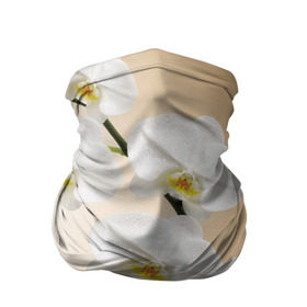 Бандана-труба 3D с принтом Orhid в Тюмени, 100% полиэстер, ткань с особыми свойствами — Activecool | плотность 150‒180 г/м2; хорошо тянется, но сохраняет форму | Тематика изображения на принте: девушки | красота | орхидея | прелесть | цветы