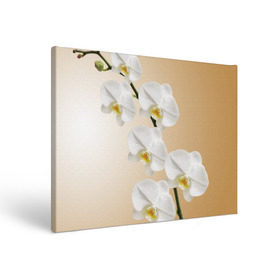 Холст прямоугольный с принтом Orhid в Тюмени, 100% ПВХ |  | Тематика изображения на принте: девушки | красота | орхидея | прелесть | цветы