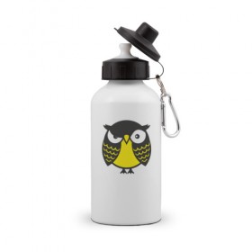 Бутылка спортивная с принтом Сердитая сова в Тюмени, металл | емкость — 500 мл, в комплекте две пластиковые крышки и карабин для крепления | 