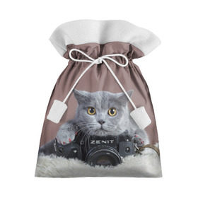 Подарочный 3D мешок с принтом Котик фотограф в Тюмени, 100% полиэстер | Размер: 29*39 см | Тематика изображения на принте: кот | котик | кошка | объектив | фотоаппарат | фотограф