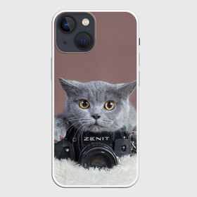 Чехол для iPhone 13 mini с принтом Котик фотограф в Тюмени,  |  | кот | котик | кошка | объектив | фотоаппарат | фотограф