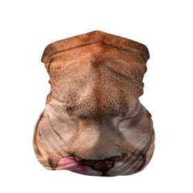 Бандана-труба 3D с принтом Игривая пума в Тюмени, 100% полиэстер, ткань с особыми свойствами — Activecool | плотность 150‒180 г/м2; хорошо тянется, но сохраняет форму | Тематика изображения на принте: балаклава