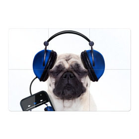 Магнитный плакат 3Х2 с принтом Мопс в наушниках в Тюмени, Полимерный материал с магнитным слоем | 6 деталей размером 9*9 см | дворняжка | домашние животные | любимец | мопс | пес | песик | питомец | собака | собачка