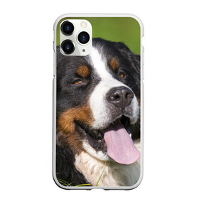 Чехол для iPhone 11 Pro Max матовый с принтом Бернский зенненхунд в Тюмени, Силикон |  | волкодав | дворняжка | домашние животные | любимец | мопс | овчарка | пес | песик | питомец | сенбернар | собака | собачка