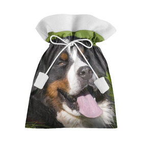 Подарочный 3D мешок с принтом Бернский зенненхунд в Тюмени, 100% полиэстер | Размер: 29*39 см | Тематика изображения на принте: волкодав | дворняжка | домашние животные | любимец | мопс | овчарка | пес | песик | питомец | сенбернар | собака | собачка