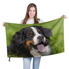 Флаг 3D с принтом Бернский зенненхунд в Тюмени, 100% полиэстер | плотность ткани — 95 г/м2, размер — 67 х 109 см. Принт наносится с одной стороны | волкодав | дворняжка | домашние животные | любимец | мопс | овчарка | пес | песик | питомец | сенбернар | собака | собачка