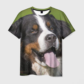 Мужская футболка 3D с принтом Бернский зенненхунд в Тюмени, 100% полиэфир | прямой крой, круглый вырез горловины, длина до линии бедер | волкодав | дворняжка | домашние животные | любимец | мопс | овчарка | пес | песик | питомец | сенбернар | собака | собачка