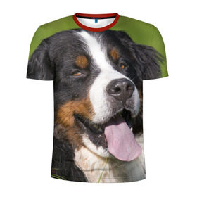 Мужская футболка 3D спортивная с принтом Бернский зенненхунд в Тюмени, 100% полиэстер с улучшенными характеристиками | приталенный силуэт, круглая горловина, широкие плечи, сужается к линии бедра | волкодав | дворняжка | домашние животные | любимец | мопс | овчарка | пес | песик | питомец | сенбернар | собака | собачка