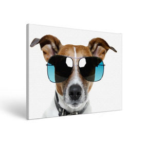 Холст прямоугольный с принтом Джек Рассел в очках в Тюмени, 100% ПВХ |  | Тематика изображения на принте: волкодав | дворняжка | джек | джек рассел | домашние животные | любимец | мопс | овчарка | пес | песик | питомец | рассел | сенбернар | собака | собачка