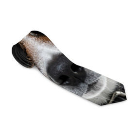 Галстук 3D с принтом Джек Рассел в очках в Тюмени, 100% полиэстер | Длина 148 см; Плотность 150-180 г/м2 | волкодав | дворняжка | джек | джек рассел | домашние животные | любимец | мопс | овчарка | пес | песик | питомец | рассел | сенбернар | собака | собачка