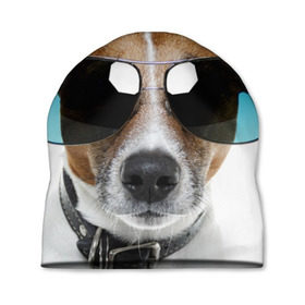 Шапка 3D с принтом Джек Рассел в очках в Тюмени, 100% полиэстер | универсальный размер, печать по всей поверхности изделия | волкодав | дворняжка | джек | джек рассел | домашние животные | любимец | мопс | овчарка | пес | песик | питомец | рассел | сенбернар | собака | собачка