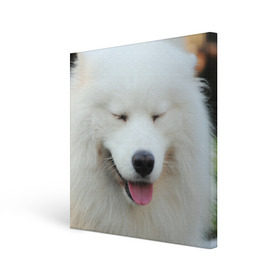 Холст квадратный с принтом Самоед в Тюмени, 100% ПВХ |  | Тематика изображения на принте: далматин | лабрадор | любимец | овчарка | пес | питомец | самоед | собака | собачка | щенок