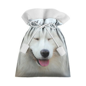 Подарочный 3D мешок с принтом Самоед в Тюмени, 100% полиэстер | Размер: 29*39 см | далматин | лабрадор | любимец | овчарка | пес | питомец | самоед | собака | собачка | щенок