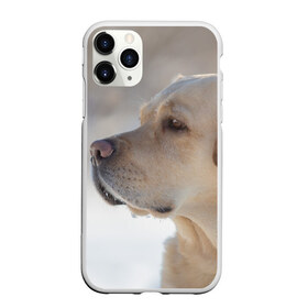Чехол для iPhone 11 Pro матовый с принтом Лабрадор в Тюмени, Силикон |  | далматин | далматинец | дворняга | лабрадор | любимец | овчарка | пес | питомец | самоед | собака | собачка | щенок