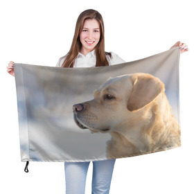 Флаг 3D с принтом Лабрадор в Тюмени, 100% полиэстер | плотность ткани — 95 г/м2, размер — 67 х 109 см. Принт наносится с одной стороны | далматин | далматинец | дворняга | лабрадор | любимец | овчарка | пес | питомец | самоед | собака | собачка | щенок