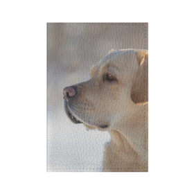 Обложка для паспорта матовая кожа с принтом Лабрадор в Тюмени, натуральная матовая кожа | размер 19,3 х 13,7 см; прозрачные пластиковые крепления | далматин | далматинец | дворняга | лабрадор | любимец | овчарка | пес | питомец | самоед | собака | собачка | щенок