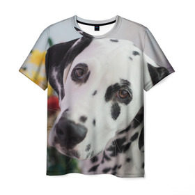 Мужская футболка 3D с принтом Далматин в Тюмени, 100% полиэфир | прямой крой, круглый вырез горловины, длина до линии бедер | акита | акита ину | далматин | далматинец | дворняга | ину | лабрадор | любимец | овчарка | пес | питомец | самоед | сиба | сиба ину | собака | собачка | щенок